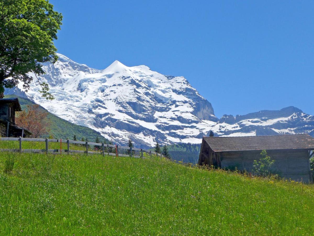 Apartment Tschingelhorn By Interhome Wengen Dış mekan fotoğraf