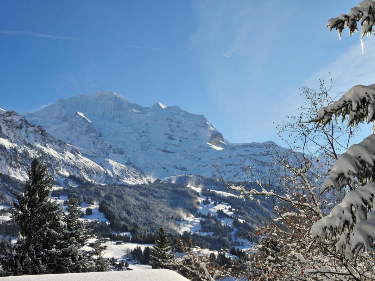 Apartment Tschingelhorn By Interhome Wengen Dış mekan fotoğraf